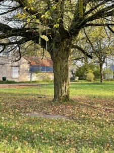 balançoire pour les enfants dans le jardin du gite