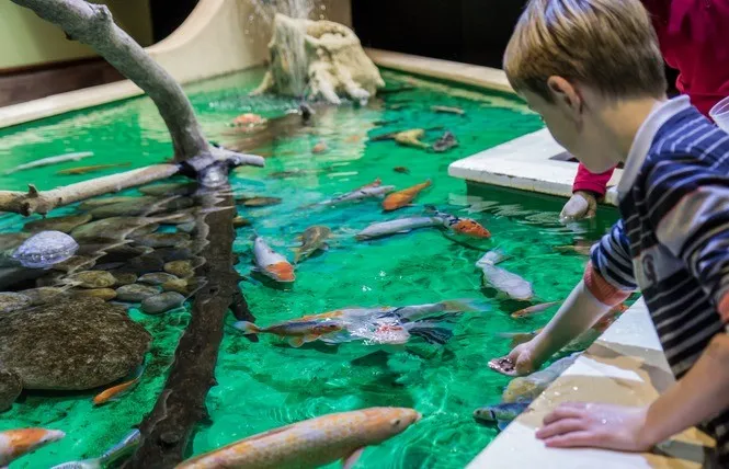 aquarium à visiter proche du gîte