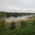 Confluence Loire et Cher proche