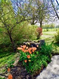 vaste jardin avec fleurs éclatantes