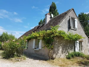 gite avec rosier fleuri grimpant