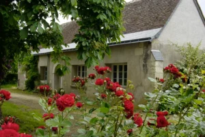 campagne
