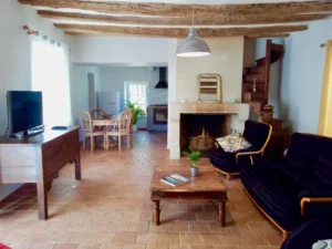 salon chaleureux et spacieux avec cheminée