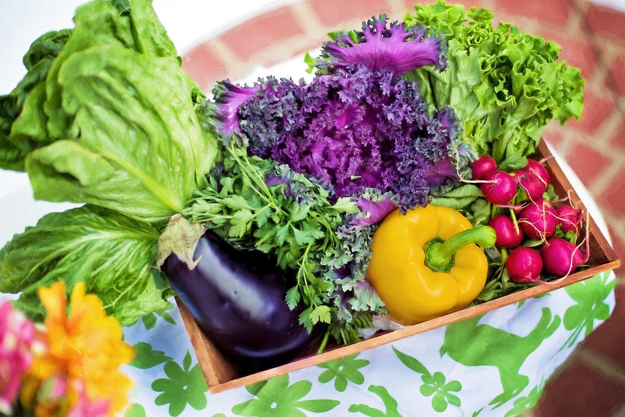 vegetables, garden, harvest, organic, gardening, lettuce, nutrition, produce, fresh, fresh vegetables, assorted, garden vegetables, nature, healthy